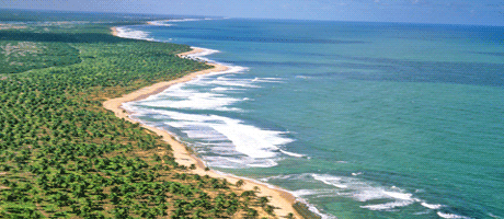 Praia do Forte - Bahia 