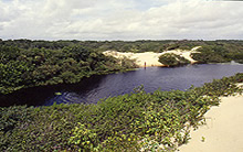 Algodoal - Pará 