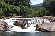 Cachoeira - Mangaratiba 