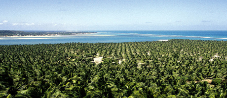 Praia do Gunga