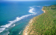 Praia do Forte - Bahia 