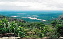 Rio Paraguaçu - Bahia 