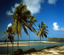 Salvador - Bahia