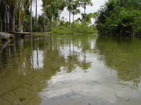 Águas Cristalinas