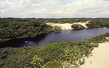 Algodoal - Pará