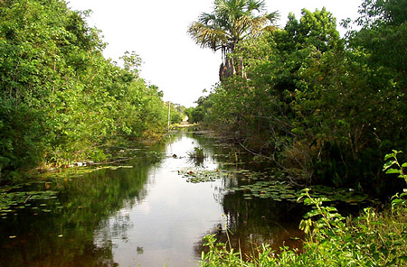 Igarapé de Água Boa – Marajó – Foto Dário Pedrosa 