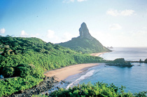 Fernando de Noronha - Pernambuco