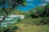 Praia Vermelha - Garopaba - Santa Catarina