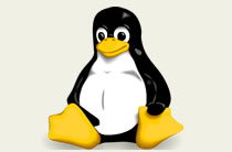 Linux